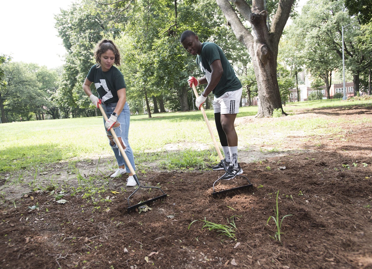 Two NYU students use rakes to prepare soil for planting in a community engagement project.
