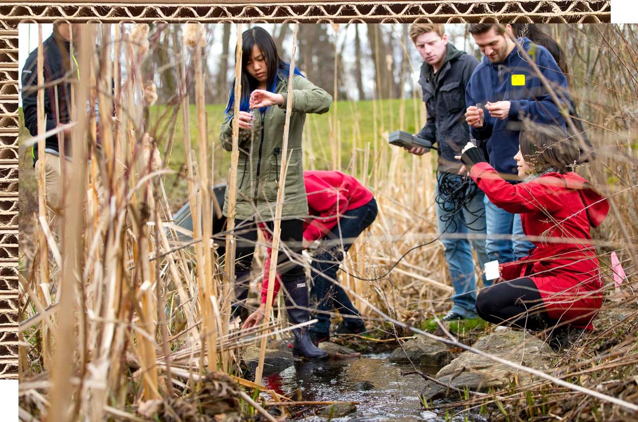 Students inspect the health of a stream.