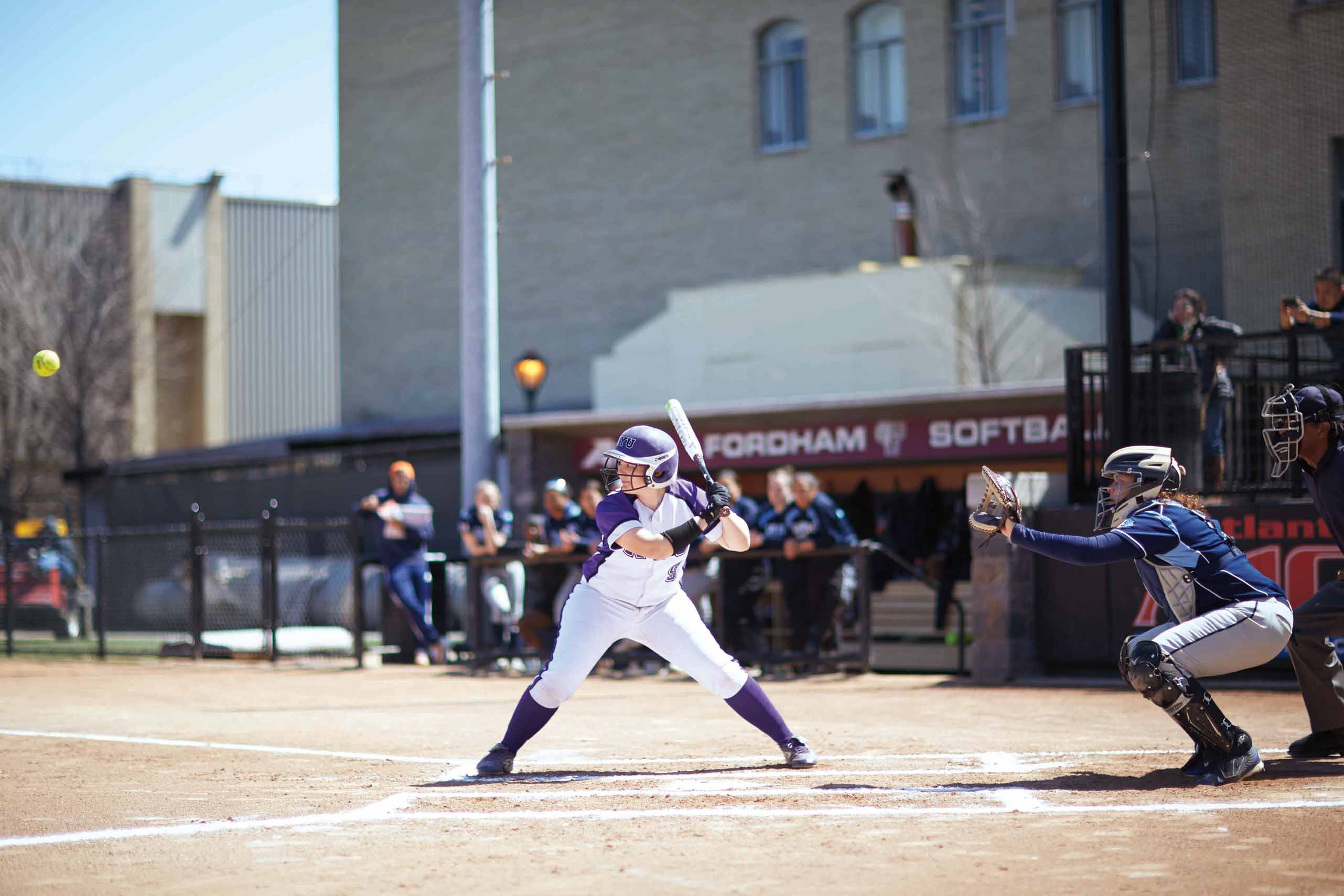 NYU softball player at the plate, holding a bat ready to swing.