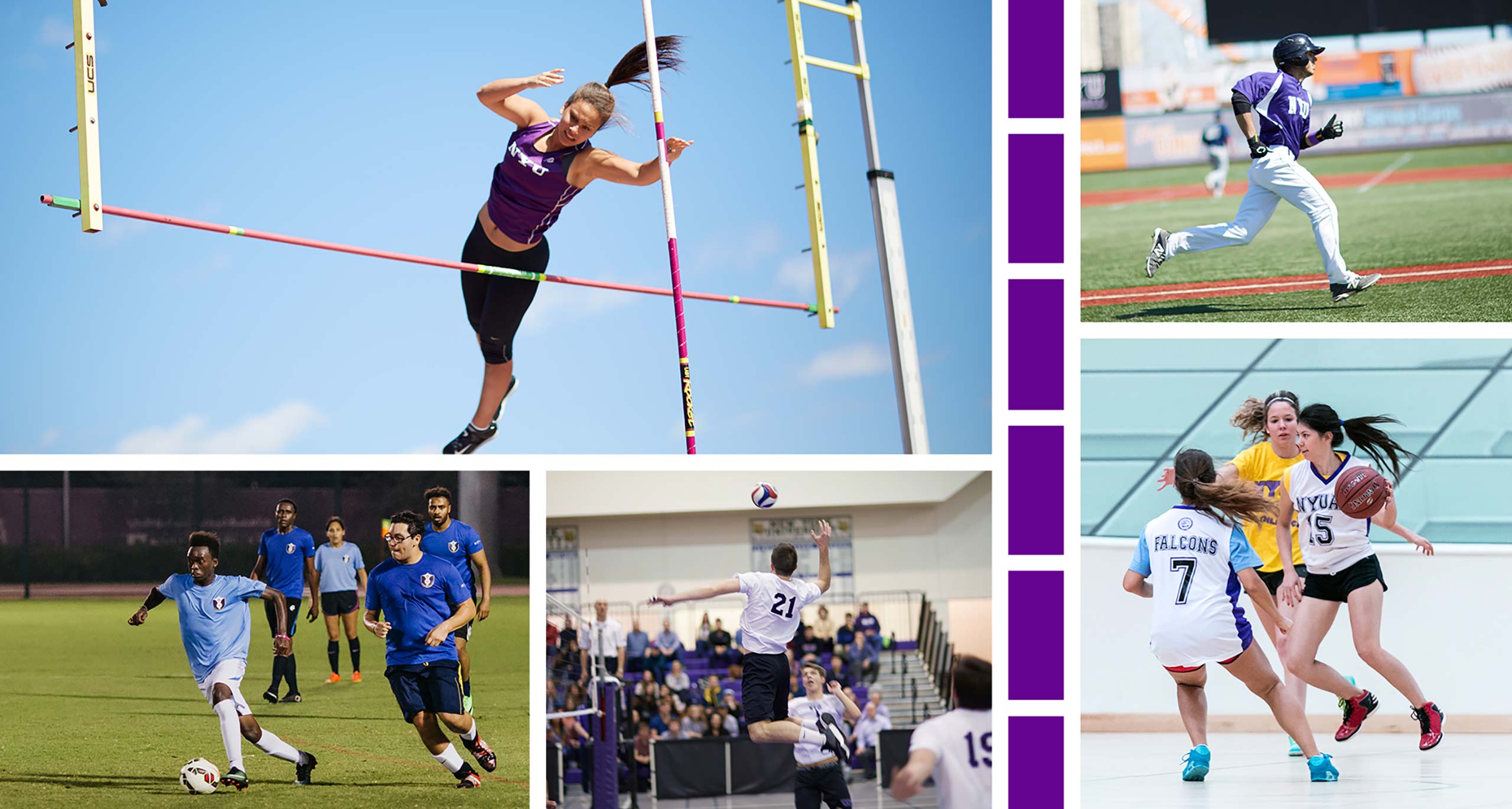 collage of NYU athletes