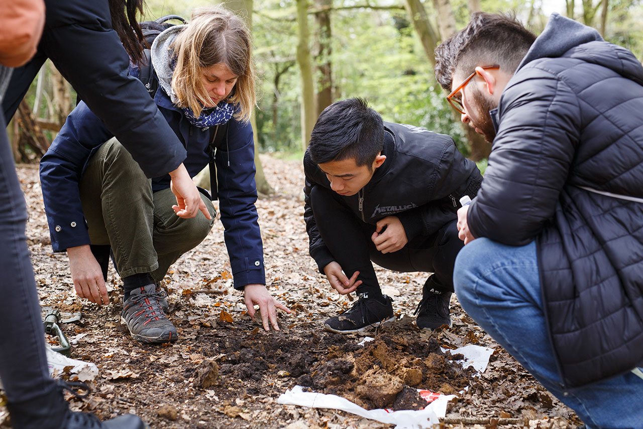 Students examine soil in the woods.