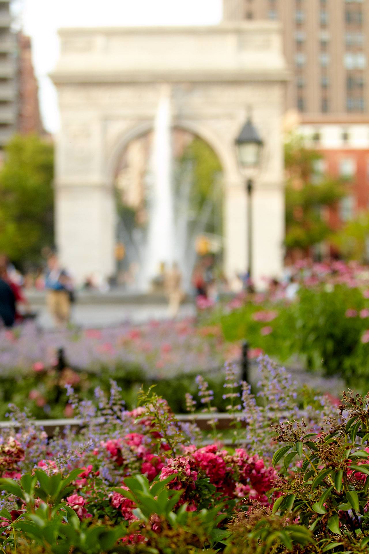 Flowers in front of the Washington Square Park Arch.