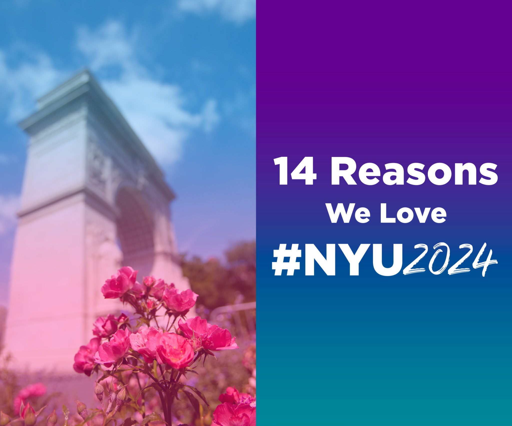 Alumni Advice From the Class of 2014 to the Class of 2024 MEET NYU