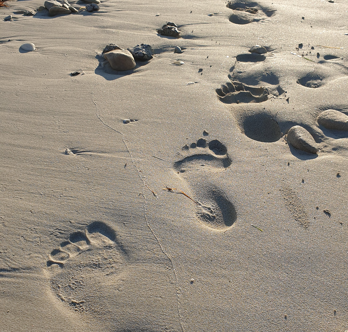 Footsteps on Abu Dhabi beach