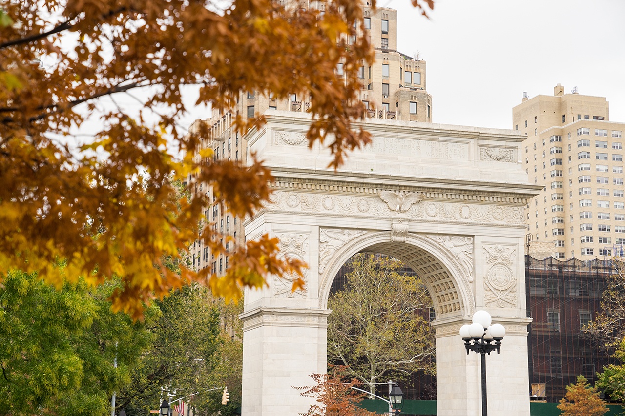 Leaves changing color in the Fall in Washington Square Park