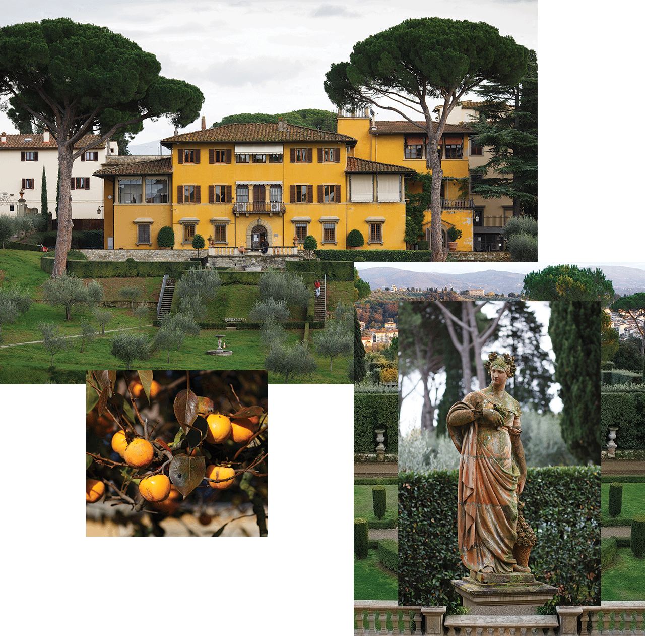 A collage of NYU Florence (clockwise from top): an NYU Florence building, a statue in a garden, and a close-up of a fruit tree.