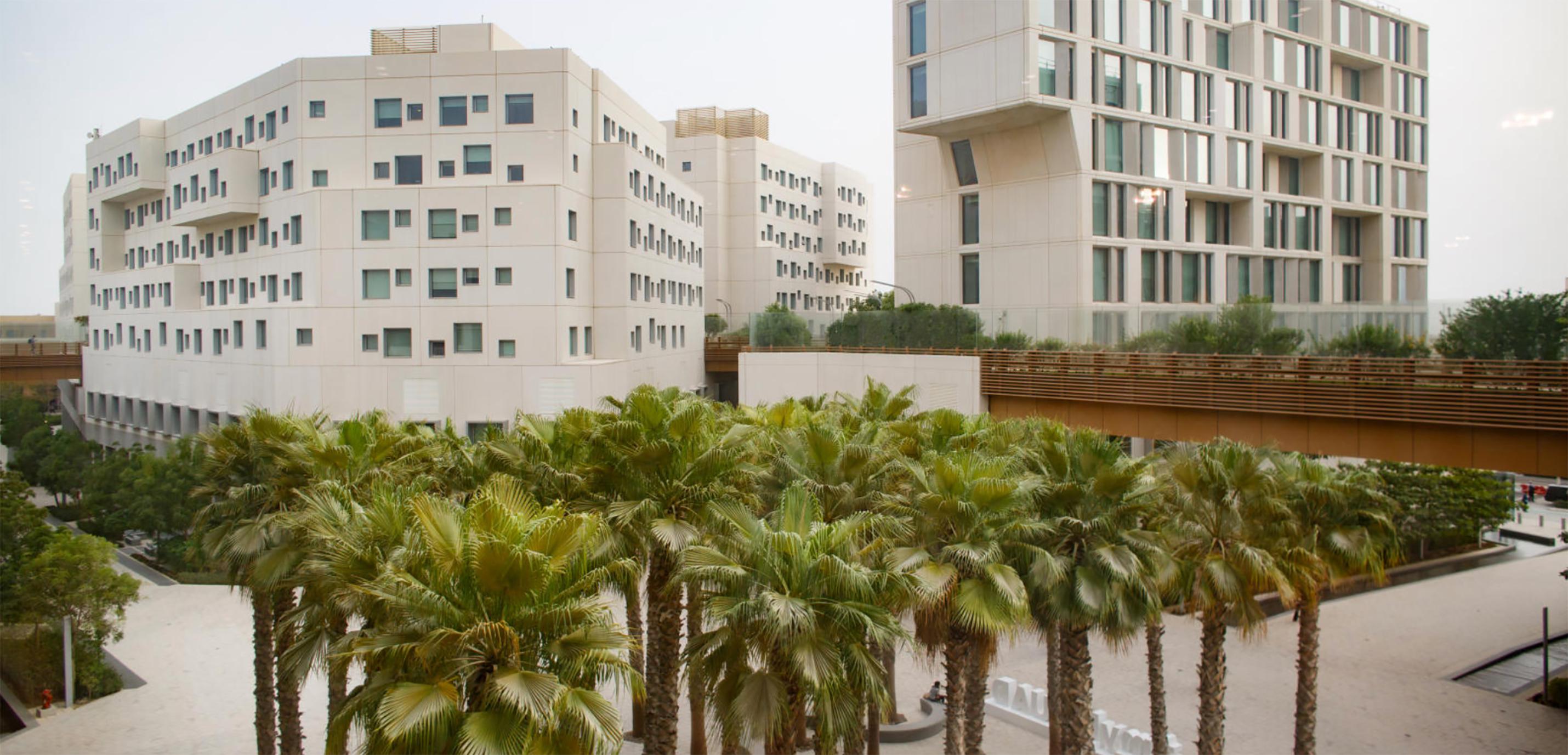 The NYU Abu Dhabi campus.