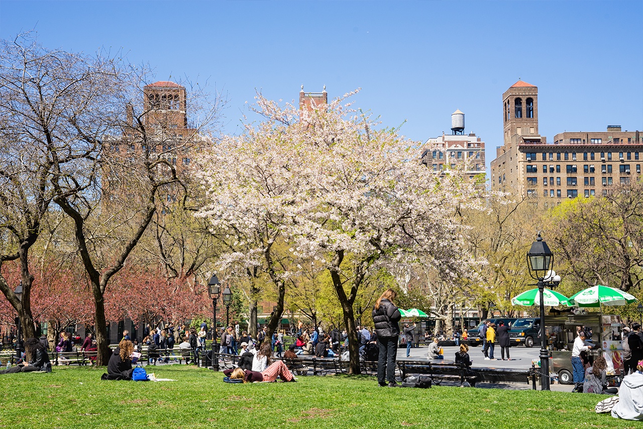 People laying in the grass in Washington Square on a Spring day.