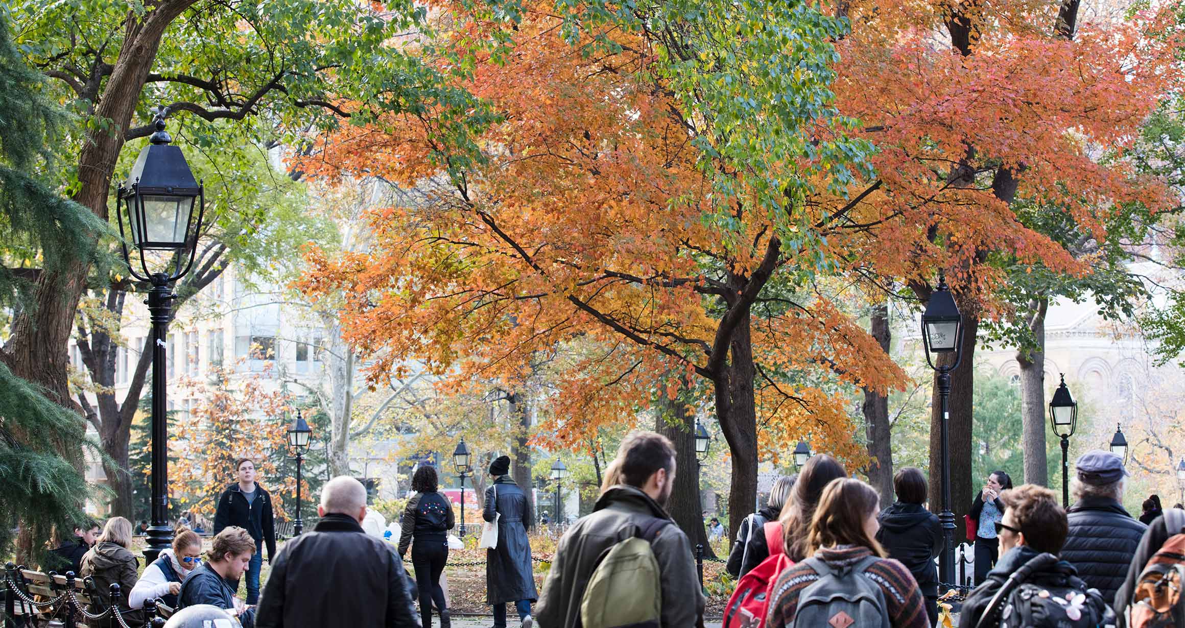 A Fall scene in Washington Square Park with the leaves bright orange