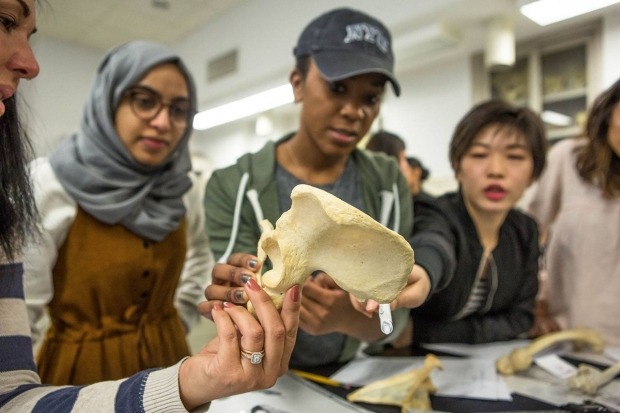 Students examining bones in class.