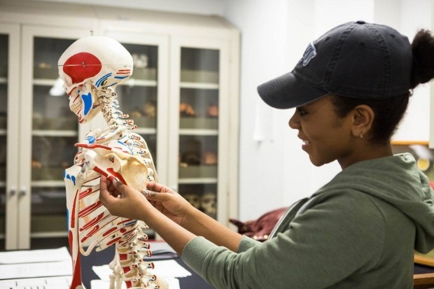 A student looking at a human skeleton.