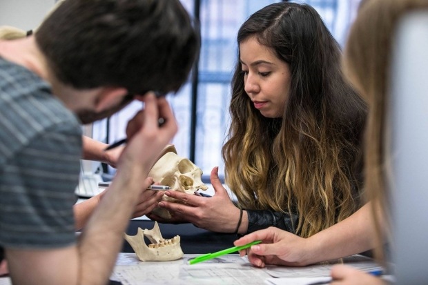 A student holding skeletal bones in Introduction to Forensic Anthropology.