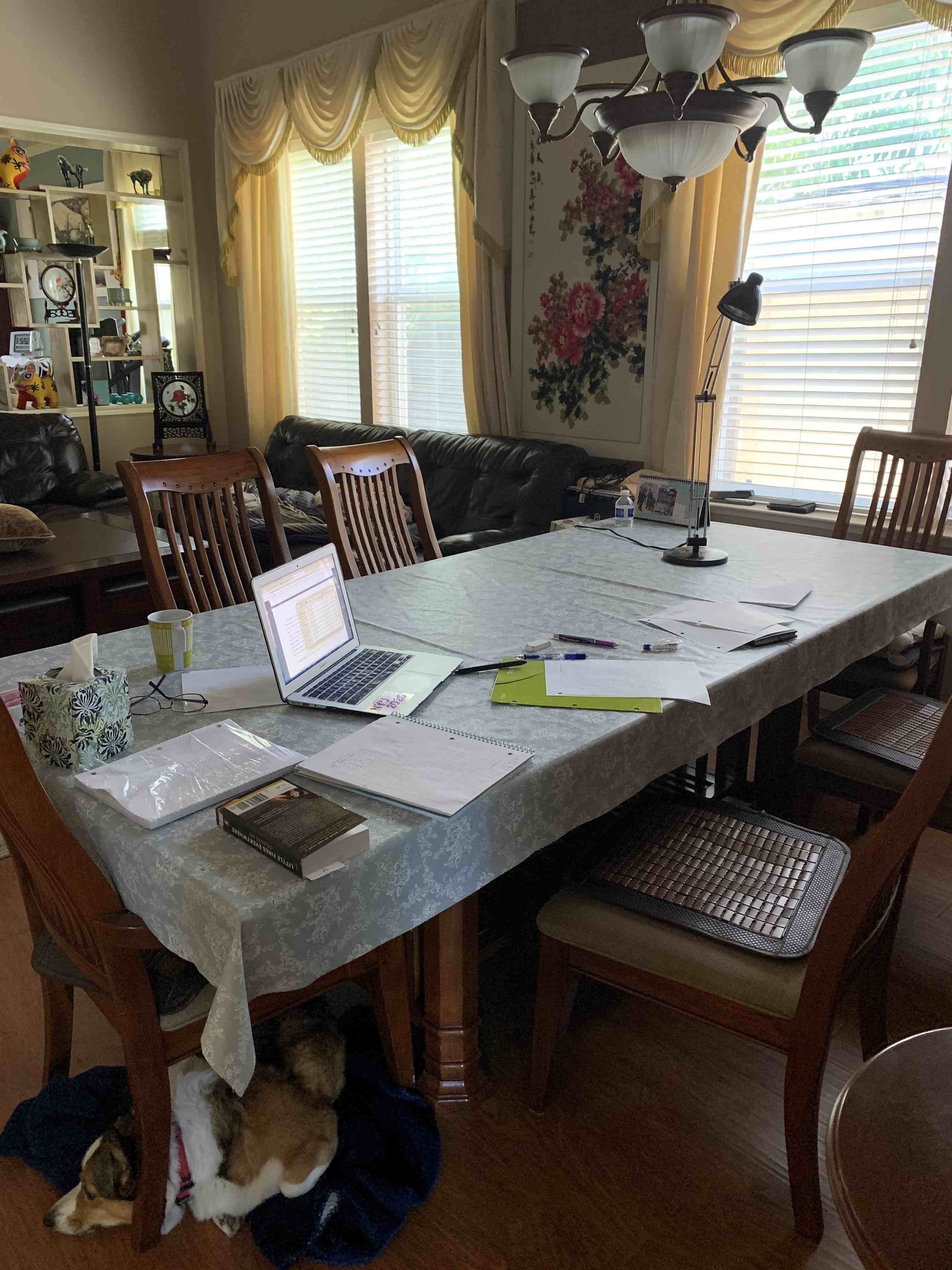 student workspace in family dining room