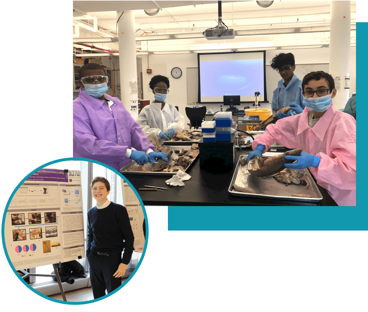 A collage of two images: 1) Students wearing protective equipment and hoping lab specimens in a classroom. 2) A student standing next to their research presentation.