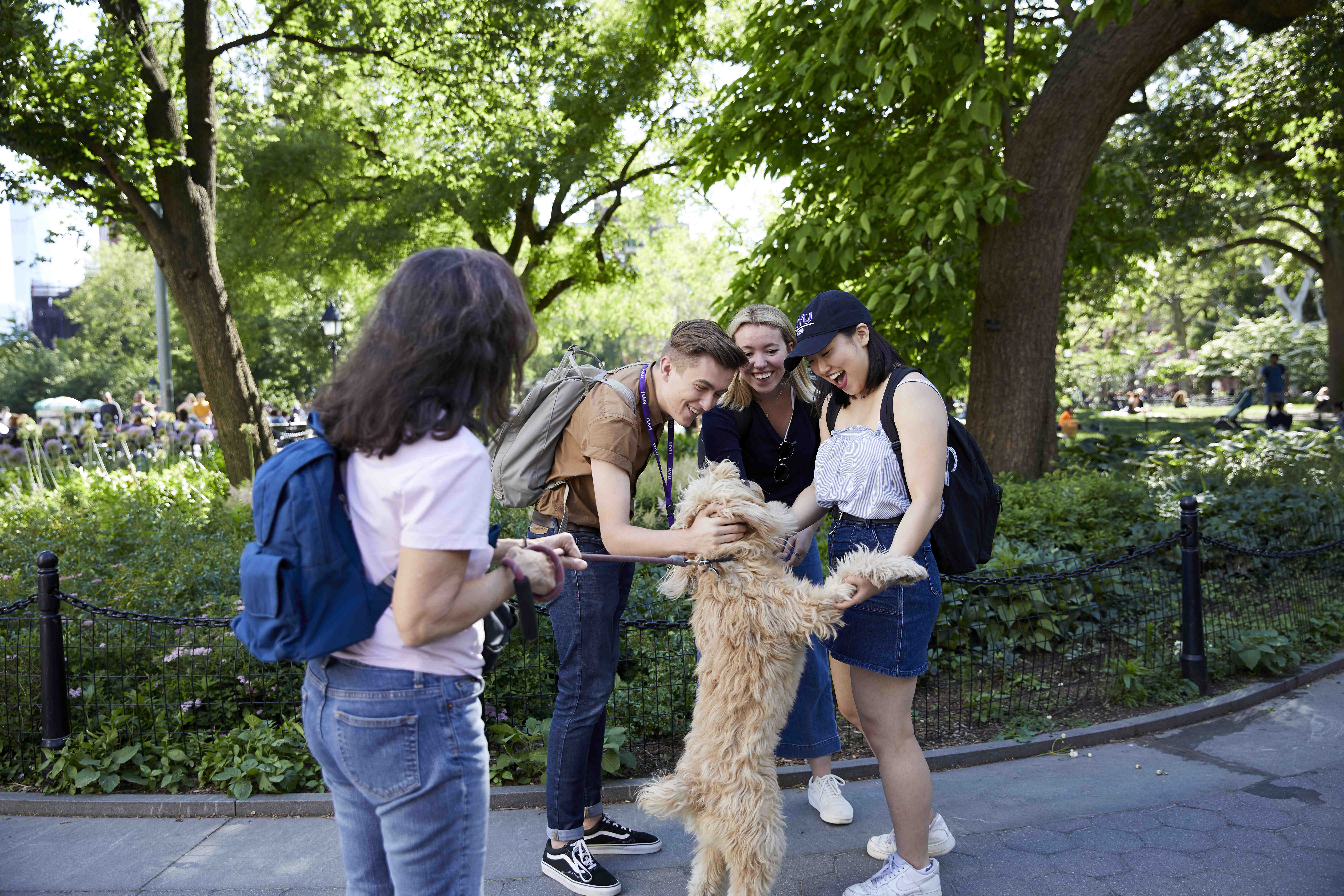 Students in Washington Square Park
