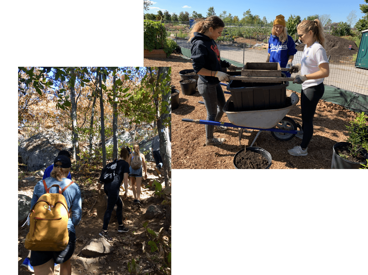 A collage of two images: 1) Students walking up hill during a hike. 2)Three students working in a garden.