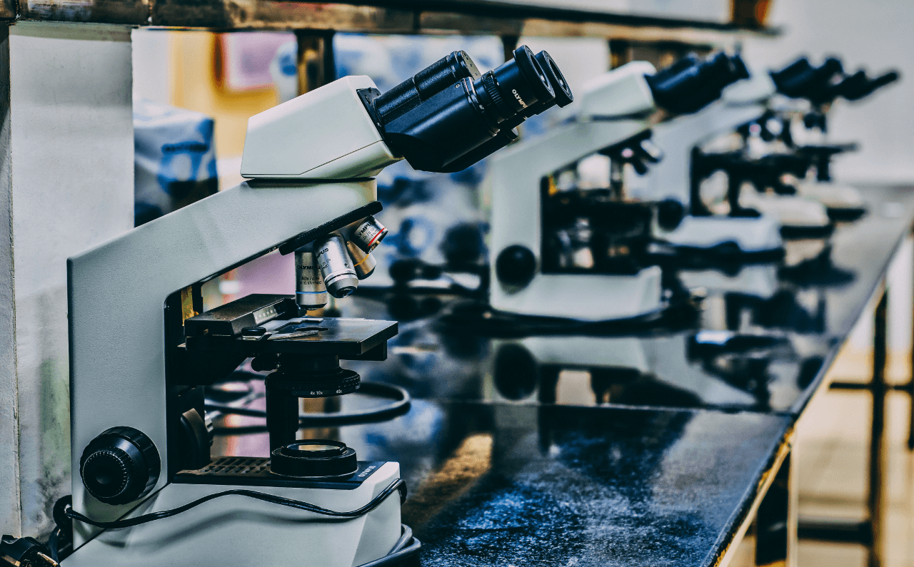 A row of microscopes.