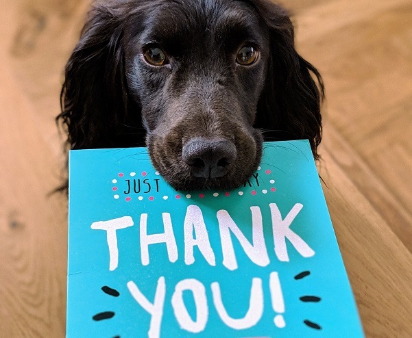 Dog holding thank you card