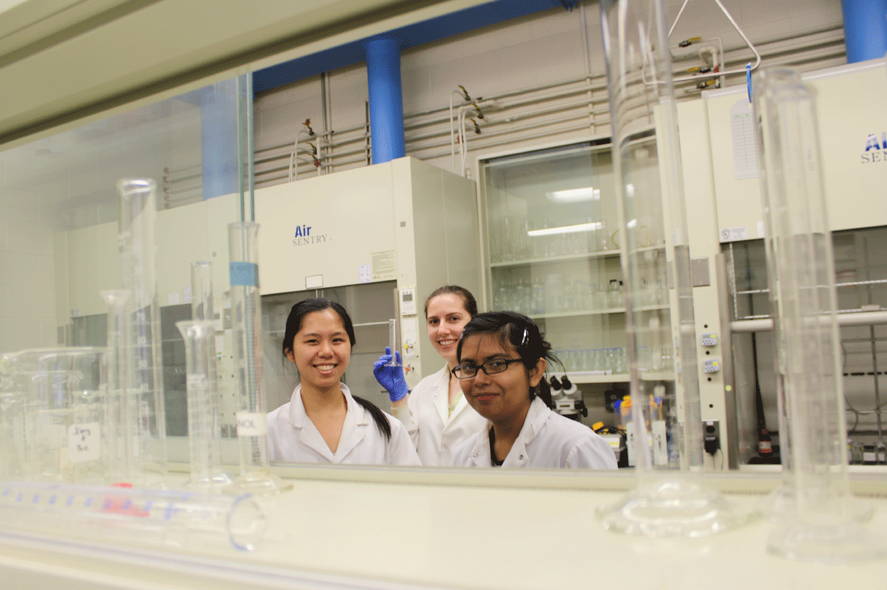 A group of students working in a lab