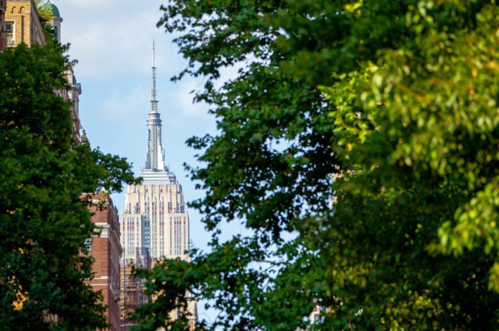 nyu tourism program