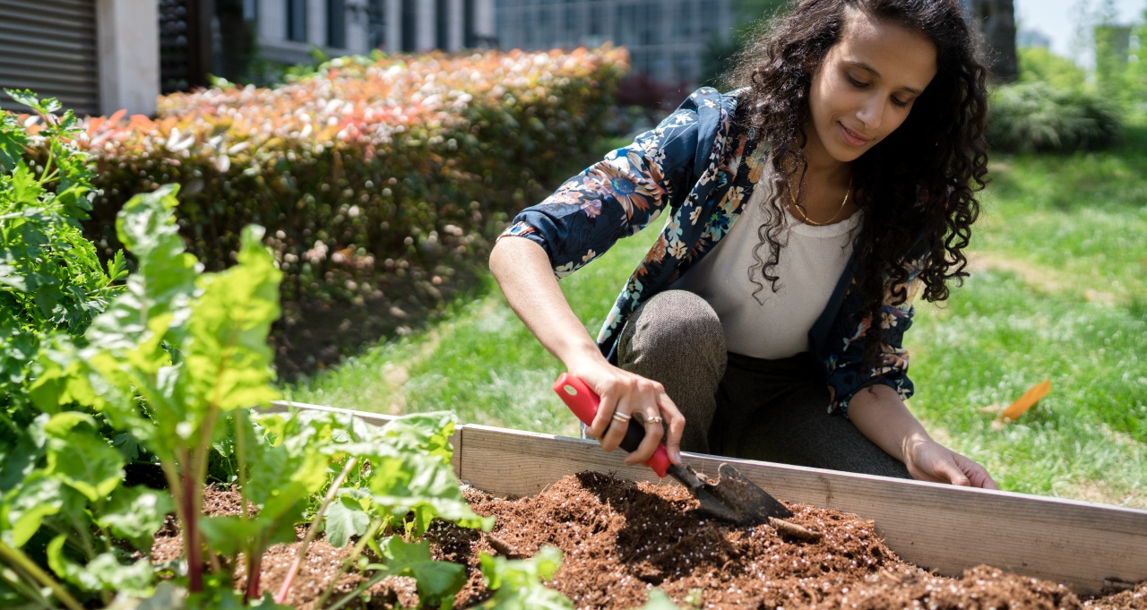 An NYU student working in a garden.
