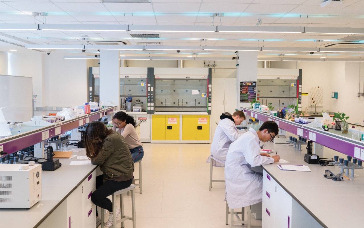A group of students working in a lab