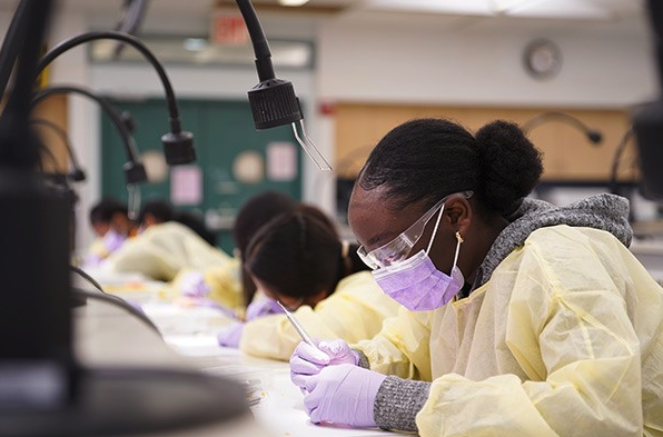 A Saturday Academy student working in a lab.