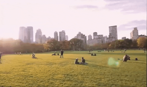 Central Park panorama GIF. 