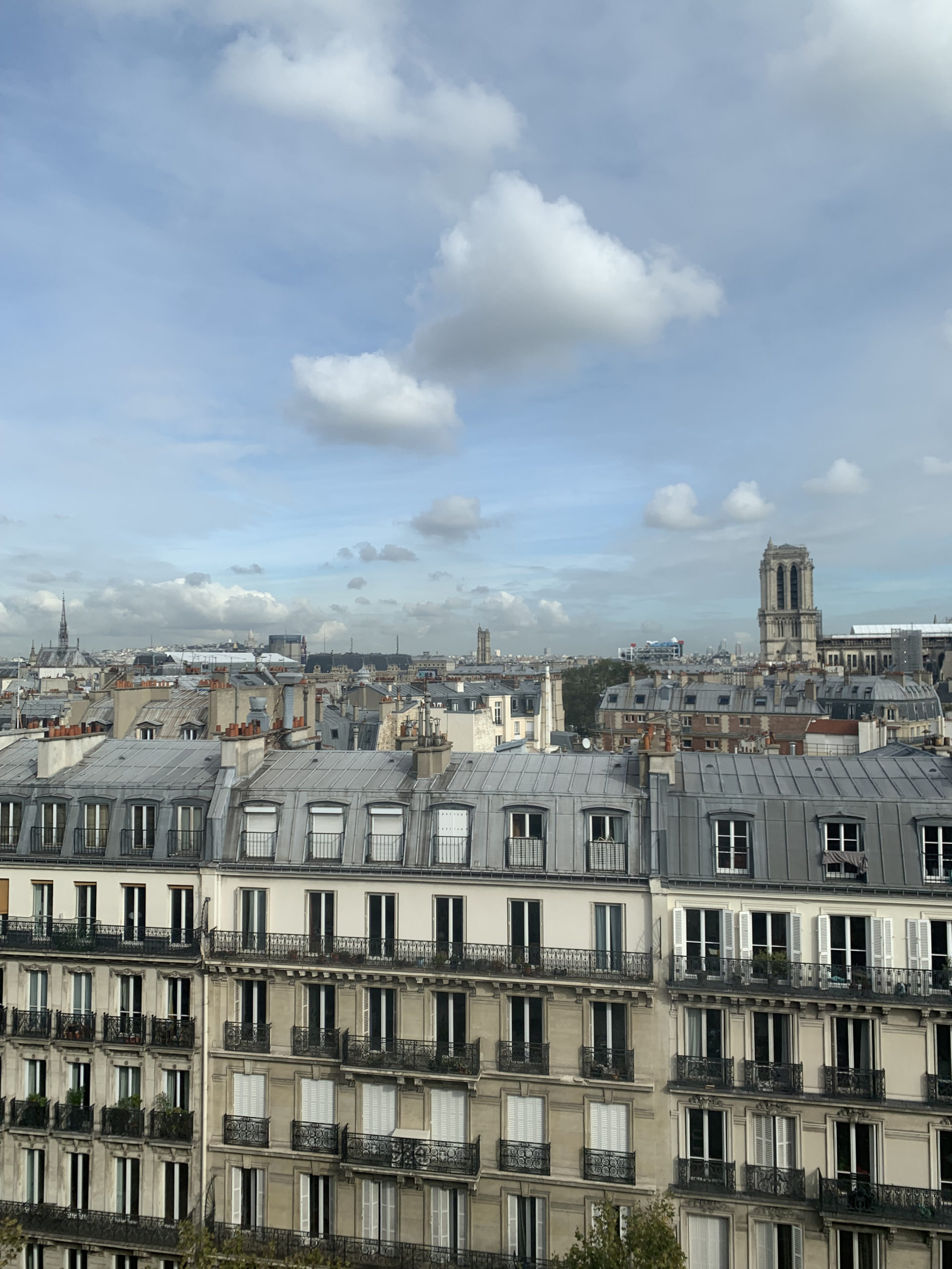 A skyline view from the 8th-floor lounge at NYU Paris.
