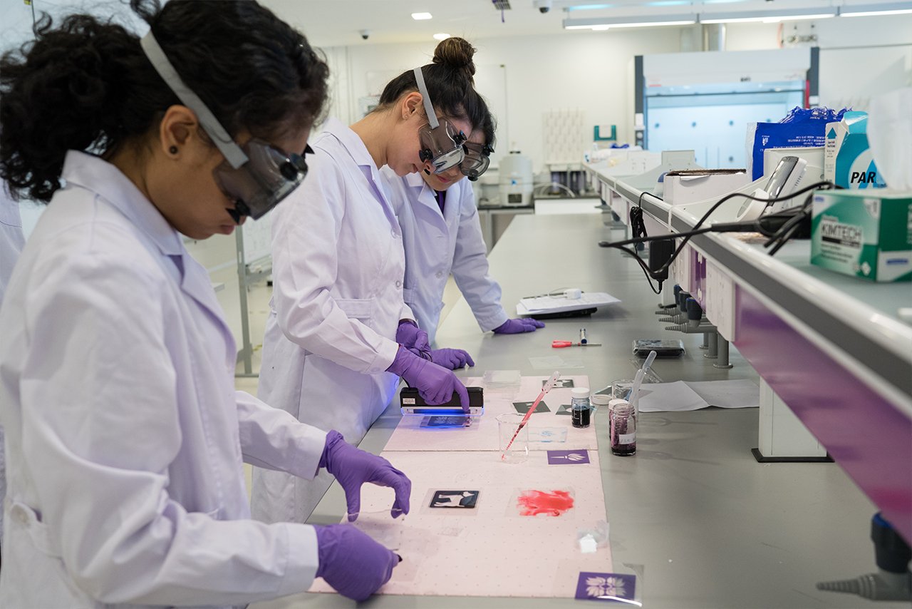 Students in a lab during one of NYU’s STEM high school programs.