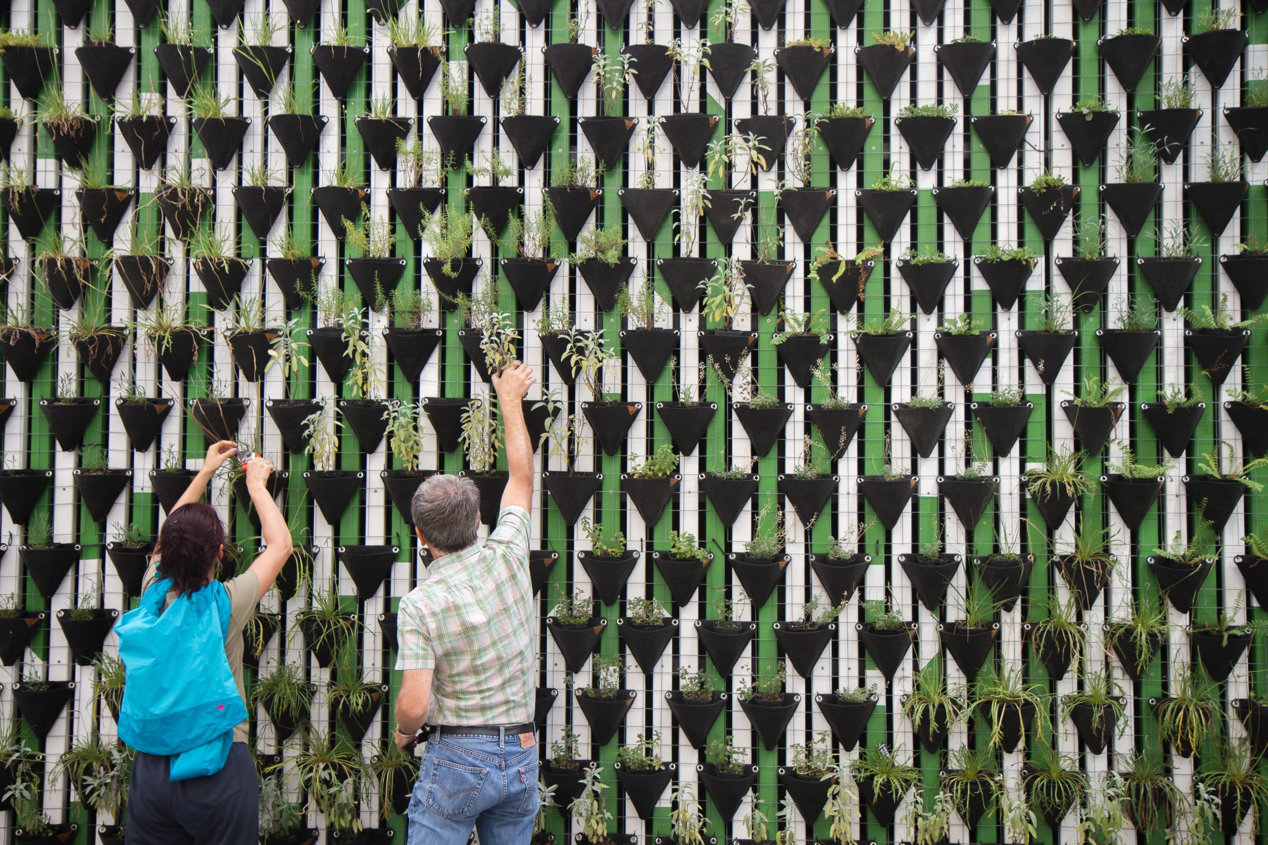 Two people touching a large decorative wall of potted plants
