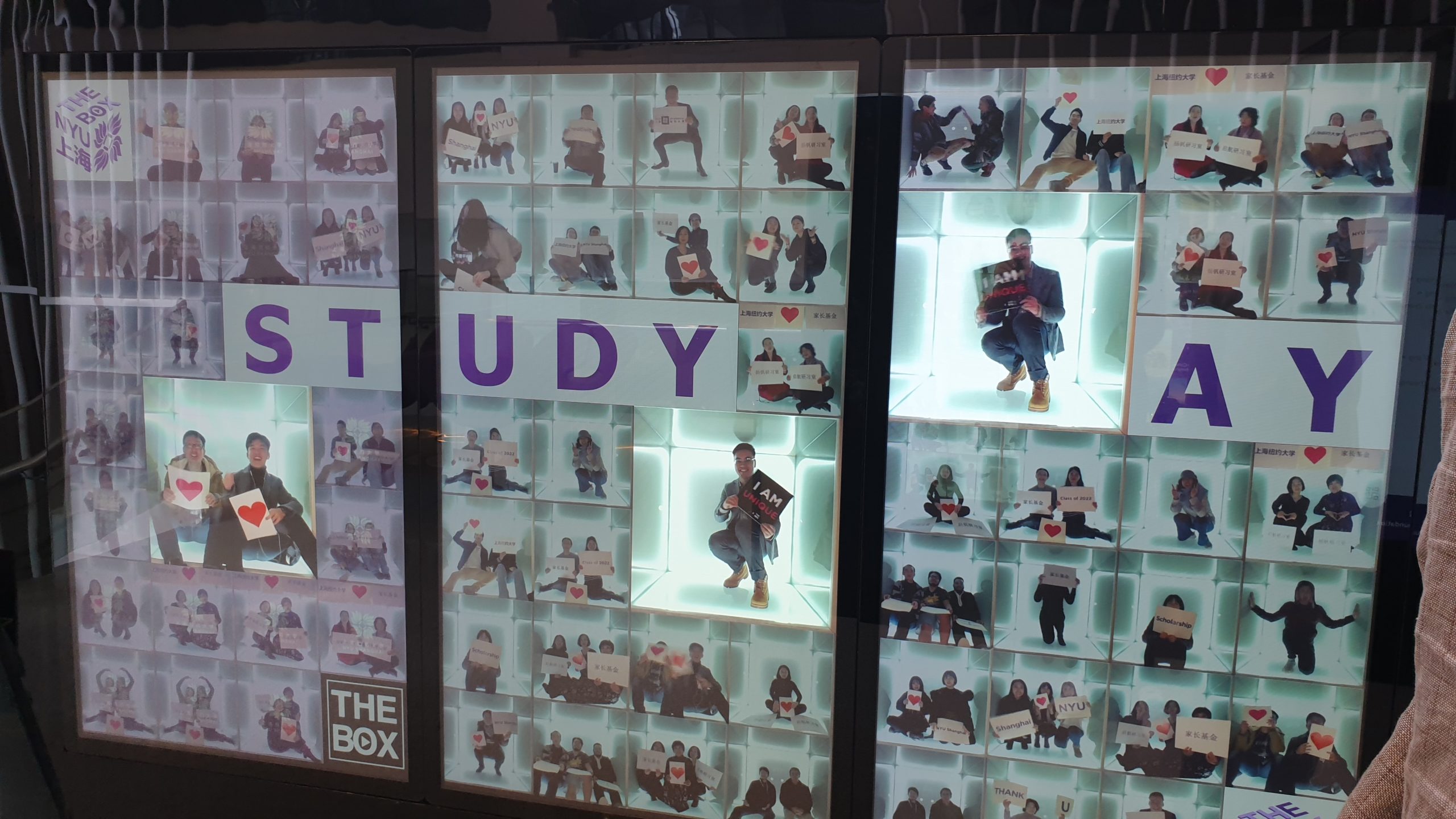 Study away at NYU Shanghai.