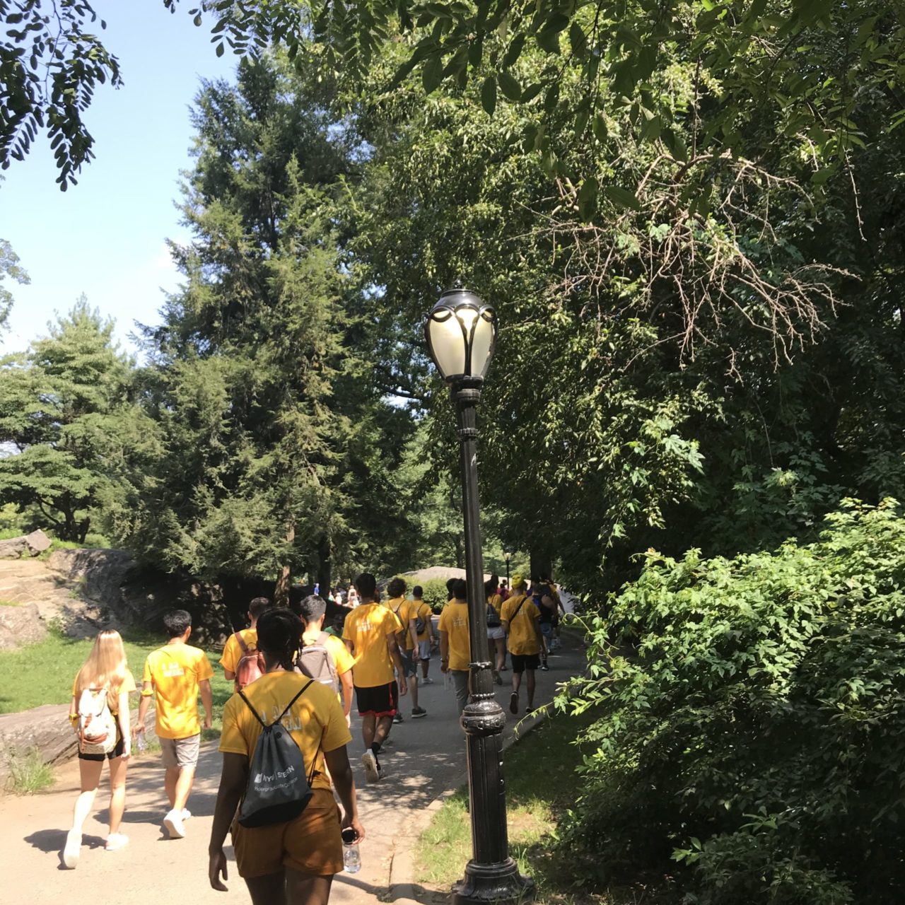 Students walking through a park during orientation.