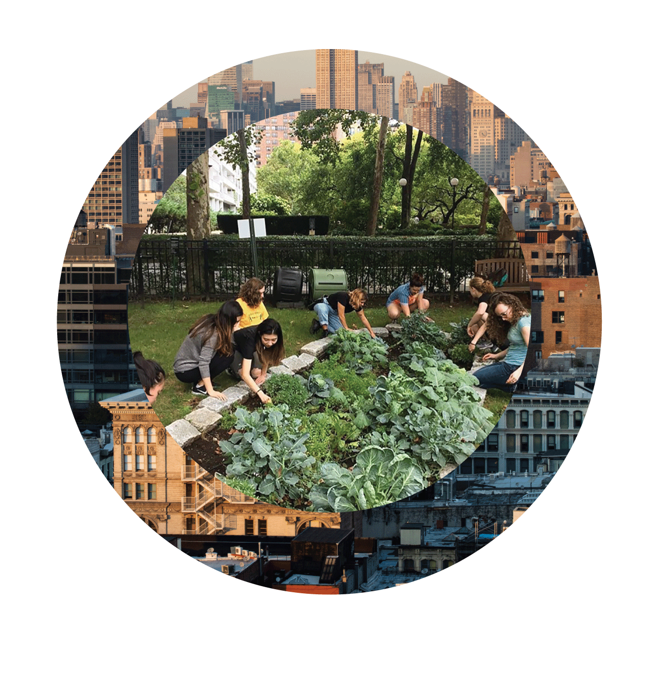 A collage of two images: 1) Students working in a garden 2) A skyline in NYC, multiple buildings are shown