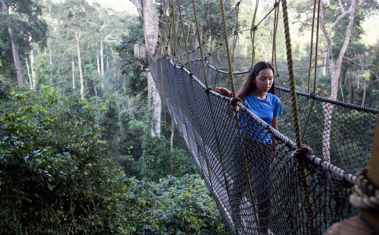 A student walking over a suspended wooden bridge in a forest in Accra.