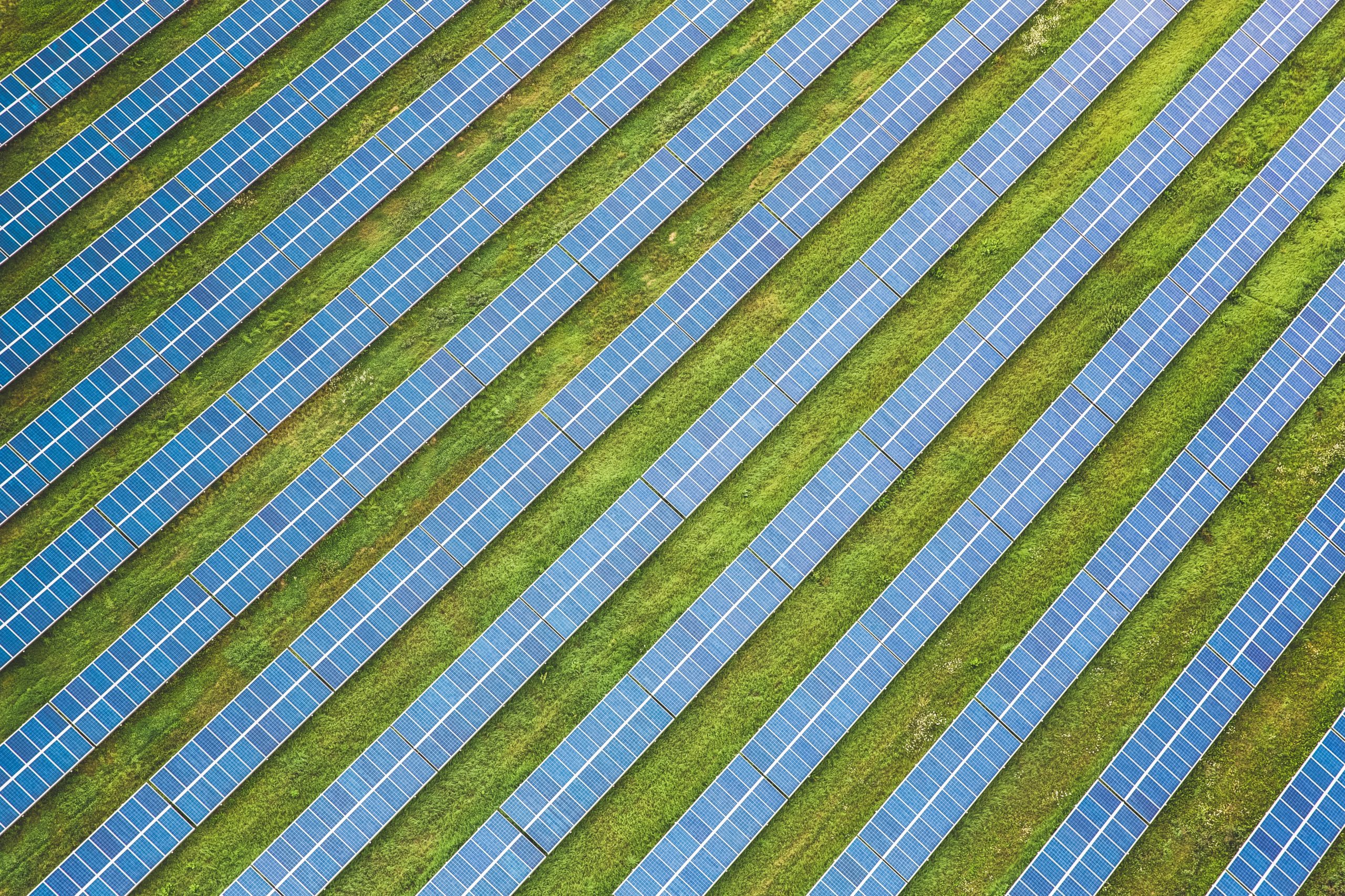 A bird's-eye view of rows of solar panels.