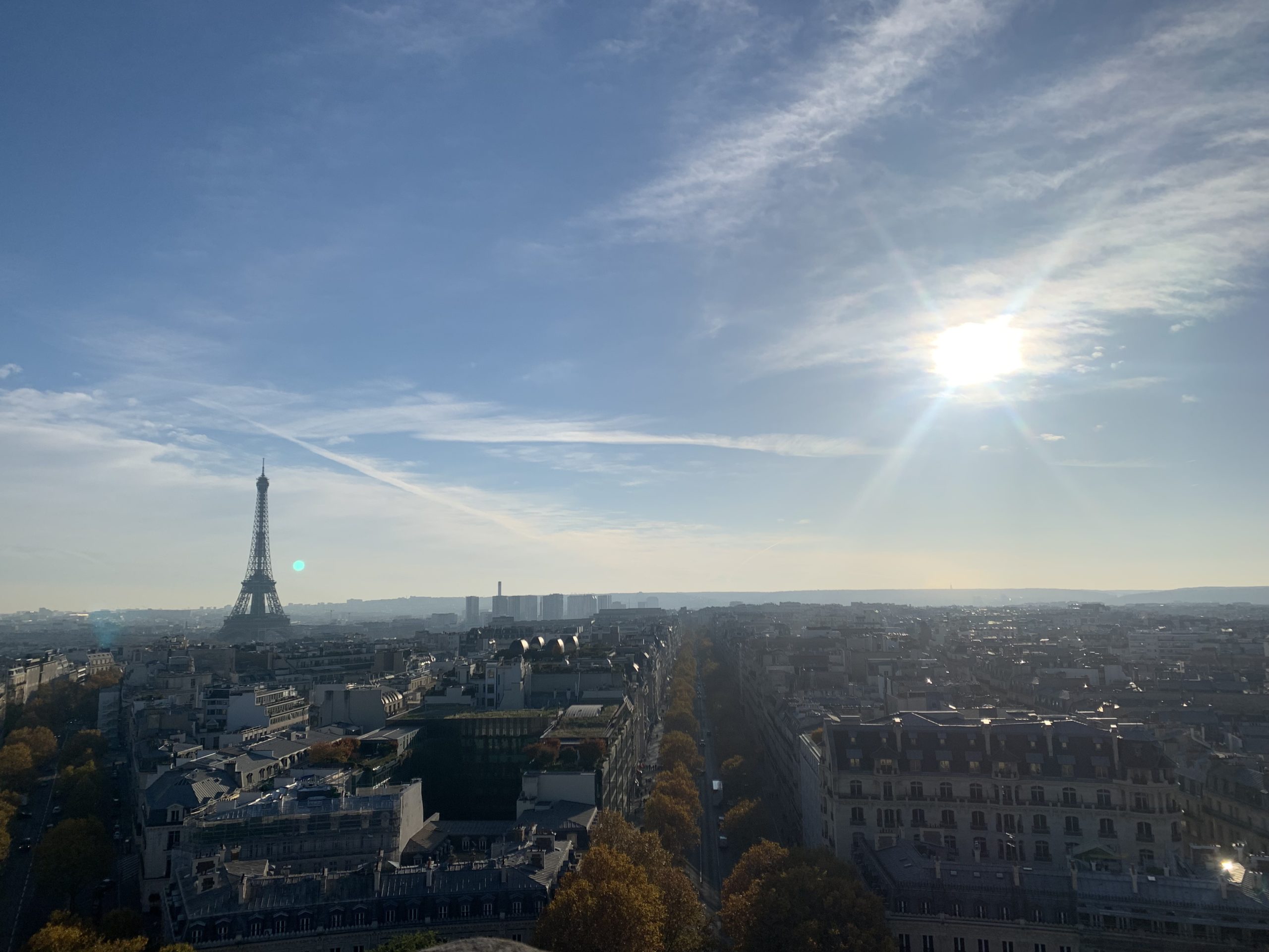 The Parisian skyline.