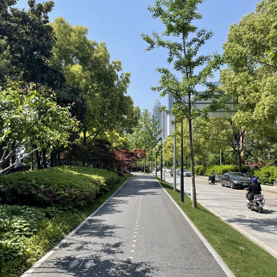 One of the many beautiful bike paths around Shanghai.