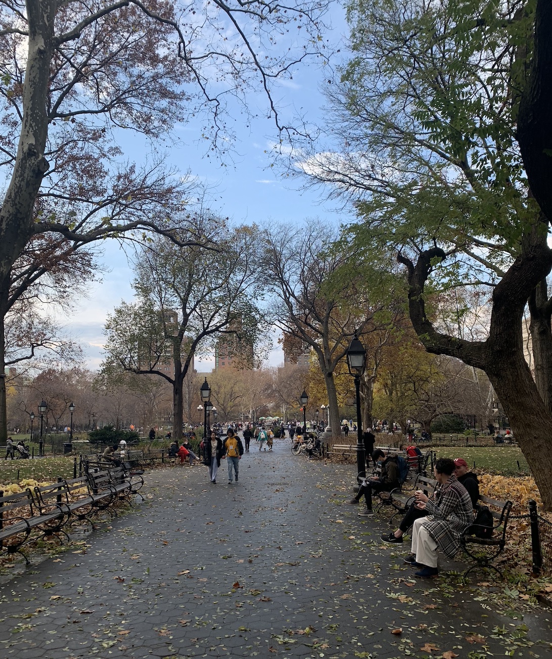 A walkway in Washington Square Park with benches and trees on either side.