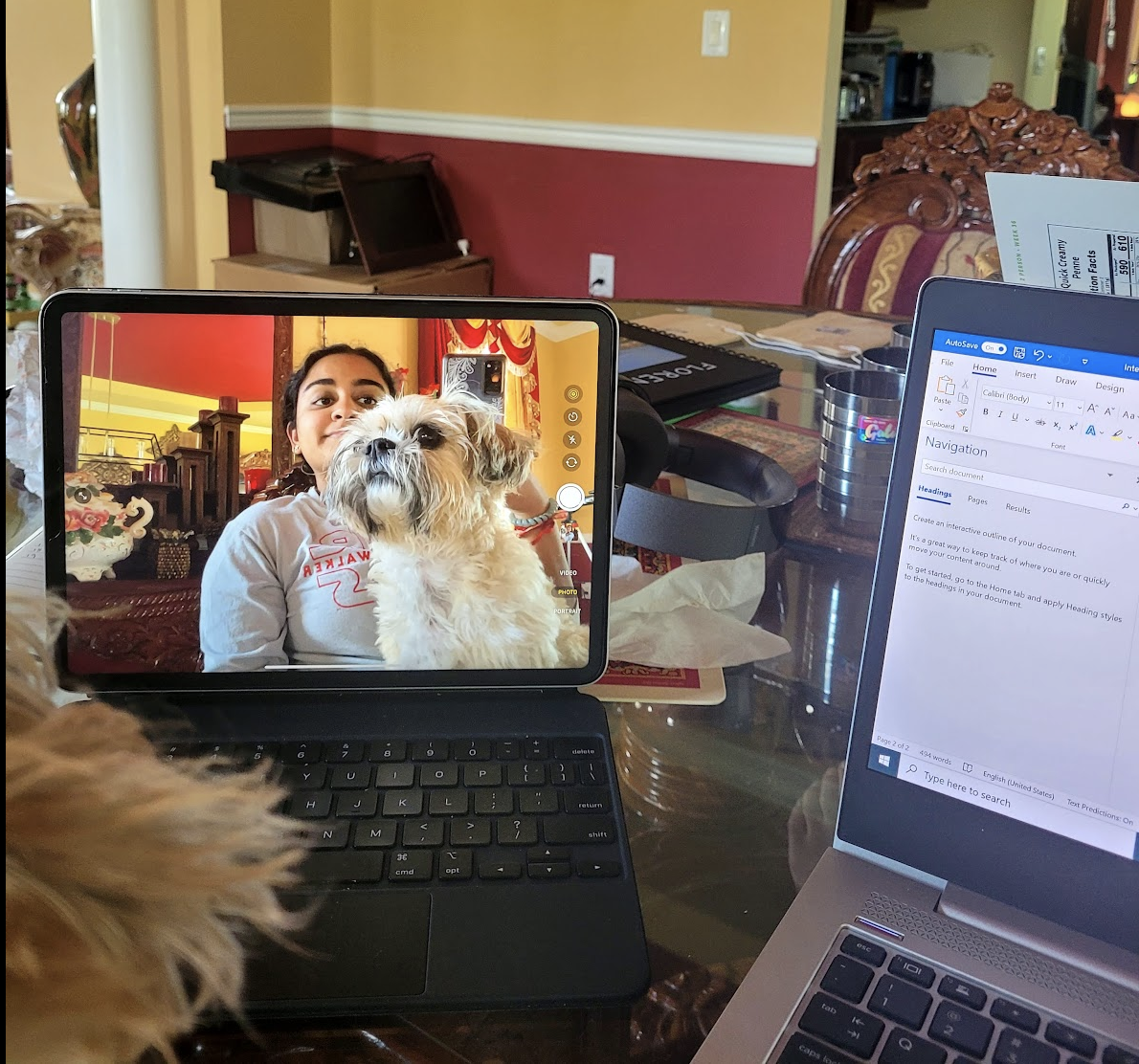 Eshika sitting at her remote work setup with a small dog on her lap.
