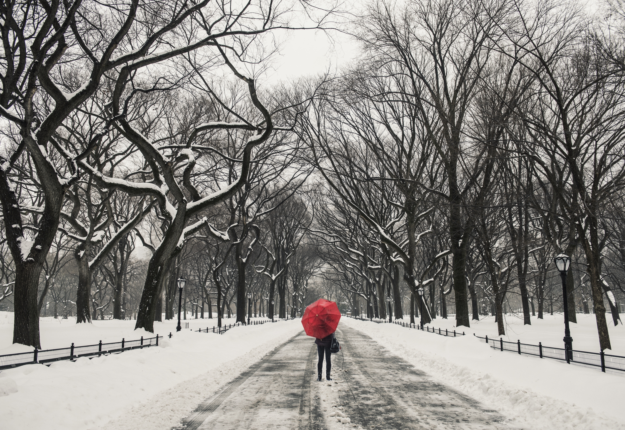 An introverted woman enjoying the snow in New York City.