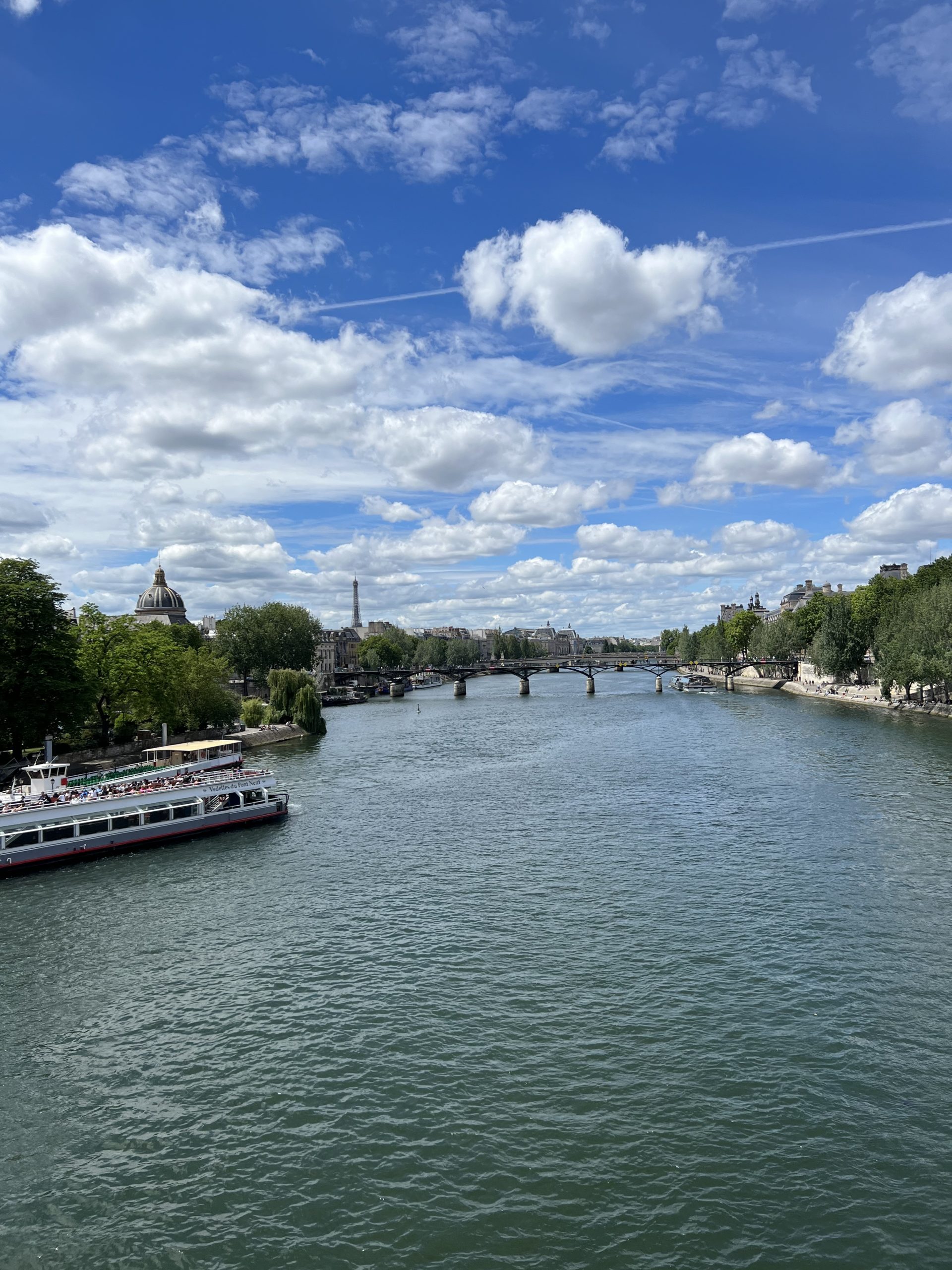 The Seine river