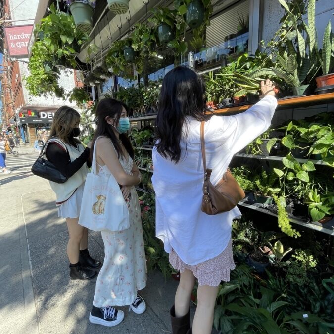 The author and friends shop for plants to decorate their dorm room.