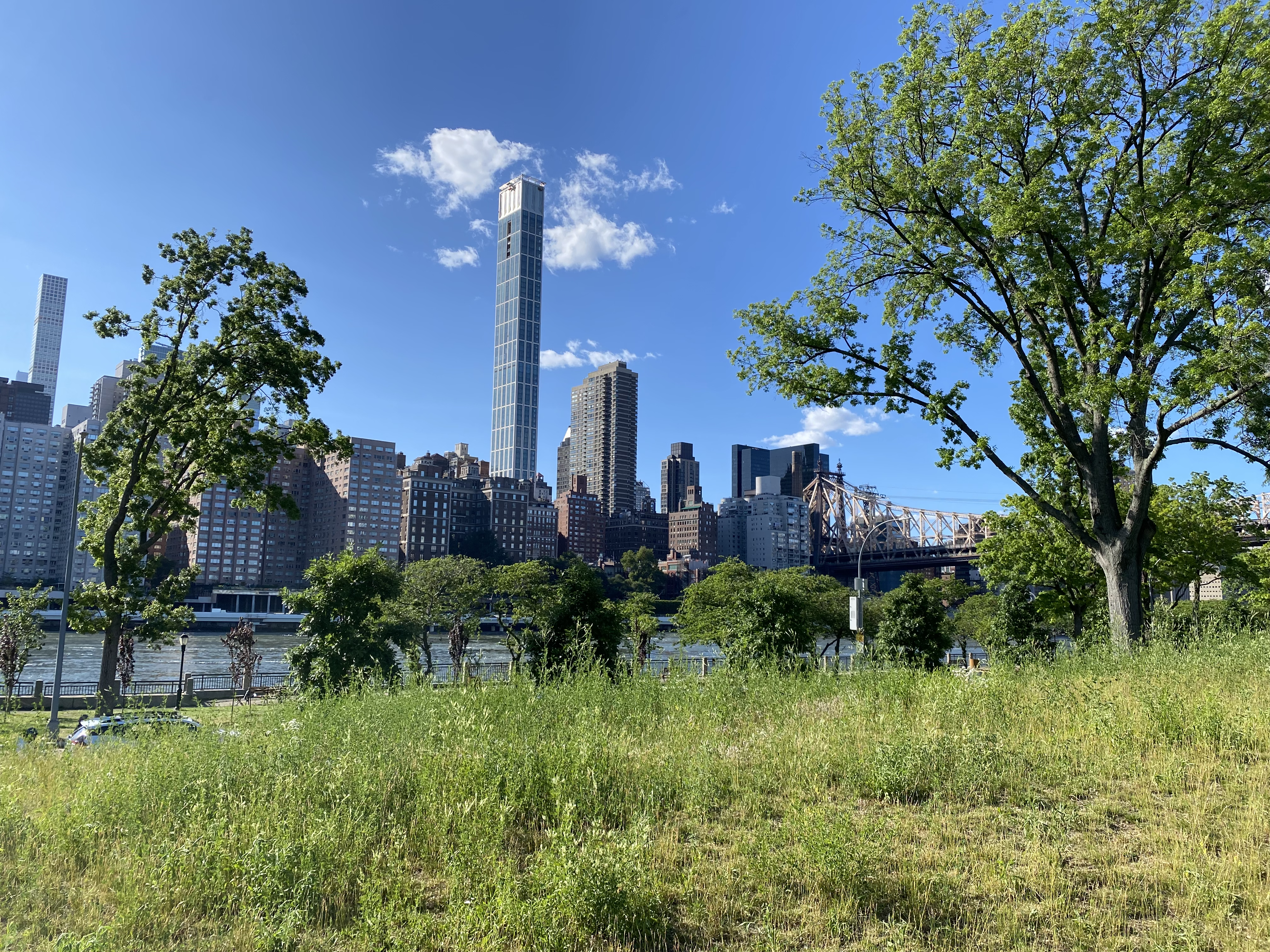 A view of the Manhattan skyline from Roosevelt Island.