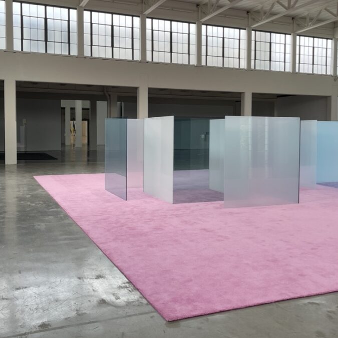 A glass structure sits on top of a pink carpet for an art exhibit.