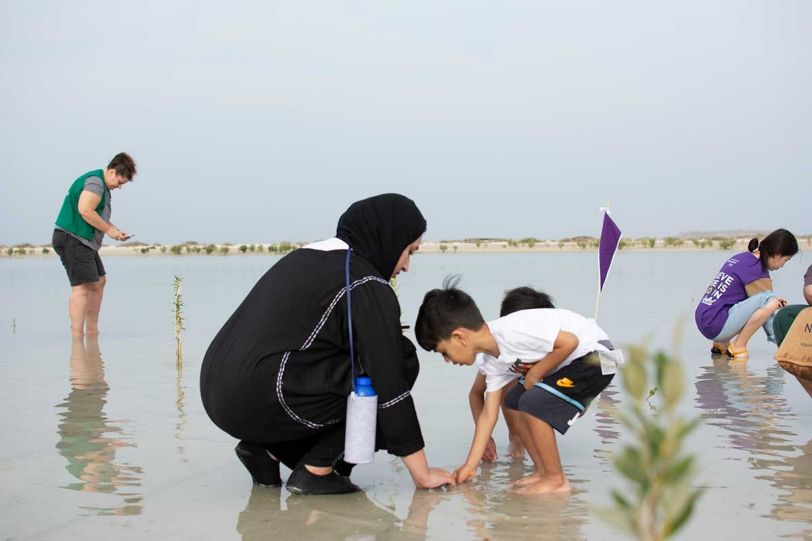 NYU Abu Dhabi community members gathered at one of the UAE’s unique ecosystems near Jebel Ali to plant 5,000 mangrove trees in under an hour.