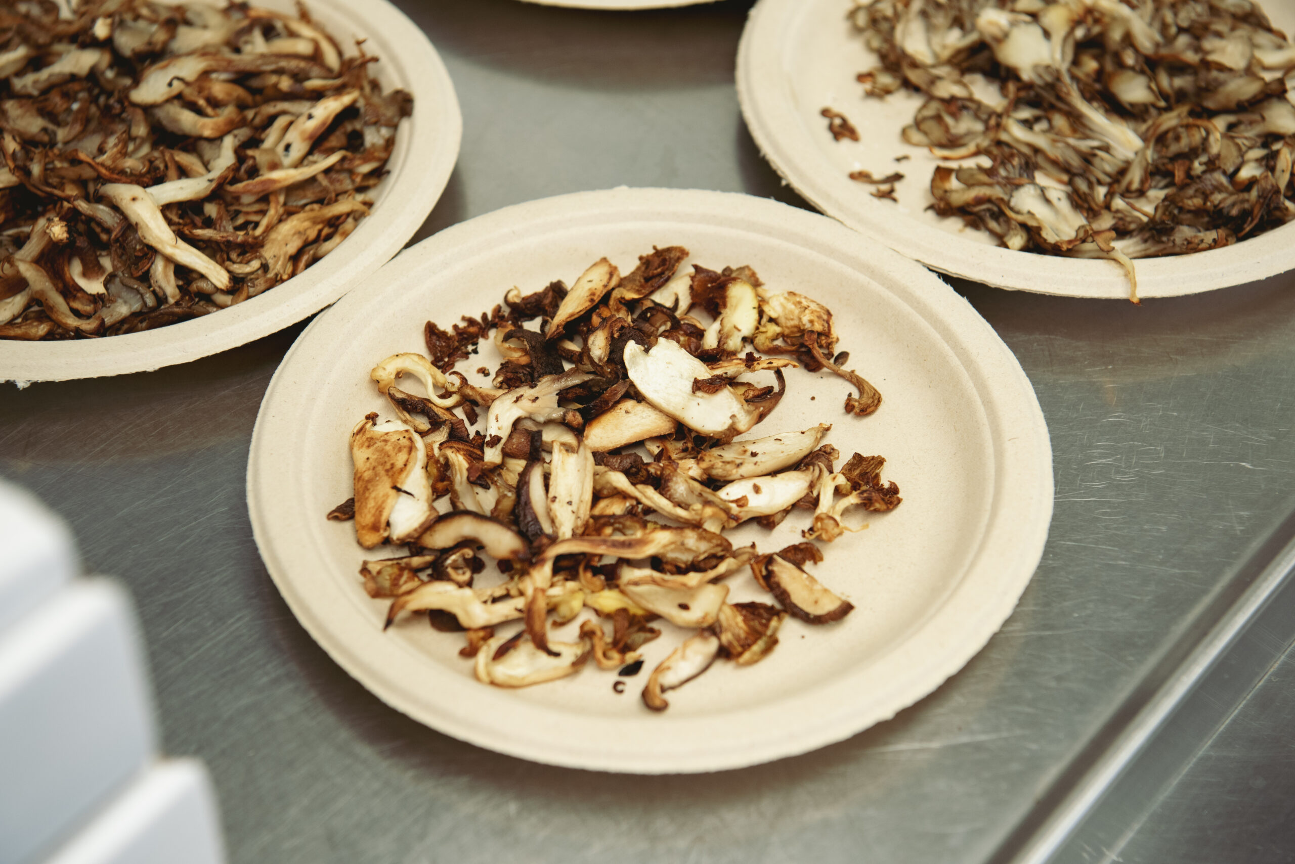 Plates of mushroom specimens.
