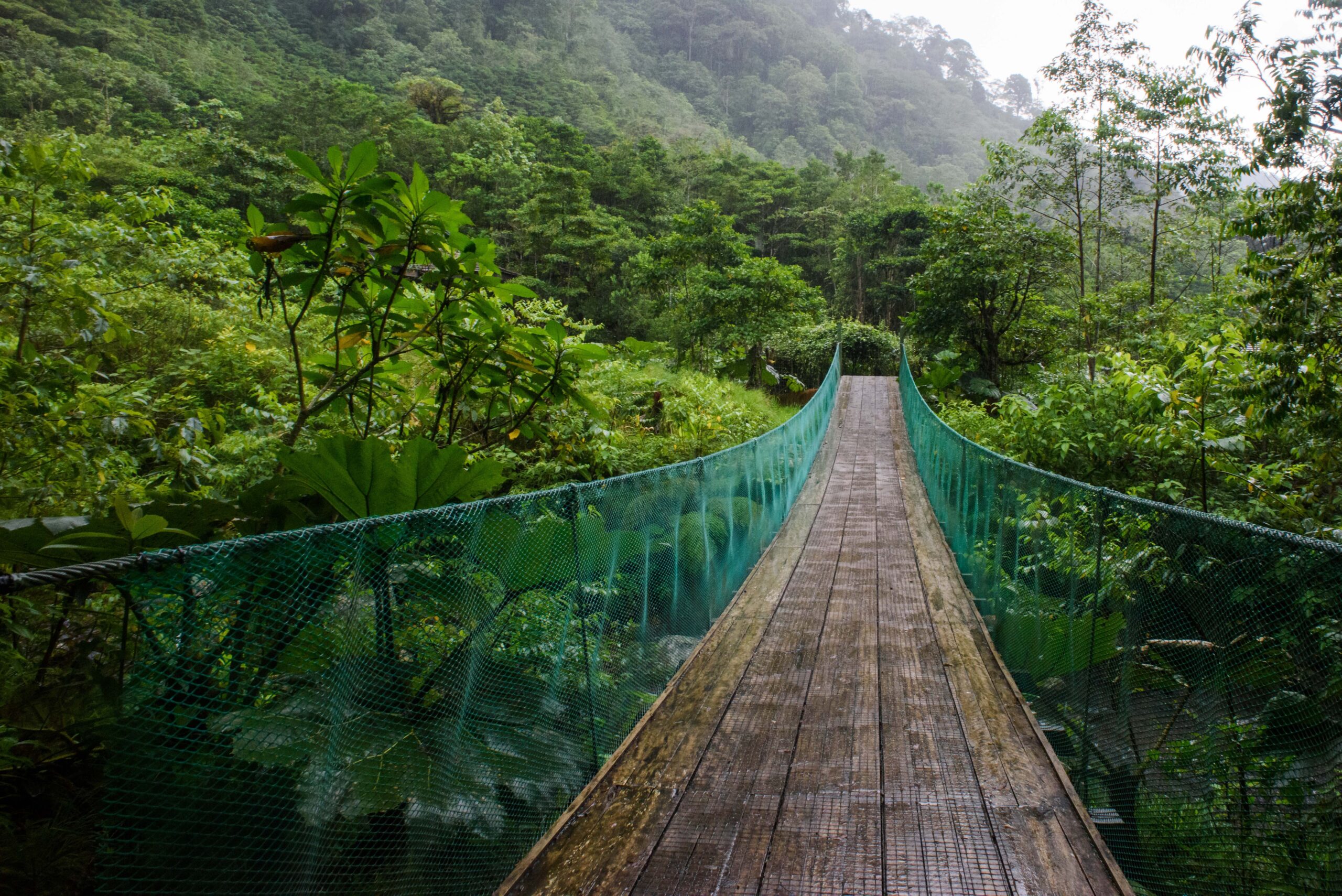 A bridge over a rainforest in Costa Rica.