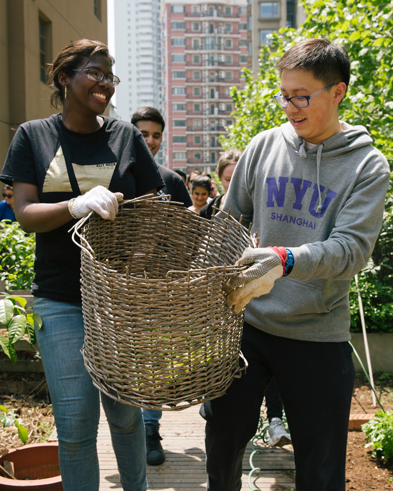 NYU Shanghai students wearing gardening gloves and holding a basket, working together at Jiashan Skyfarm.