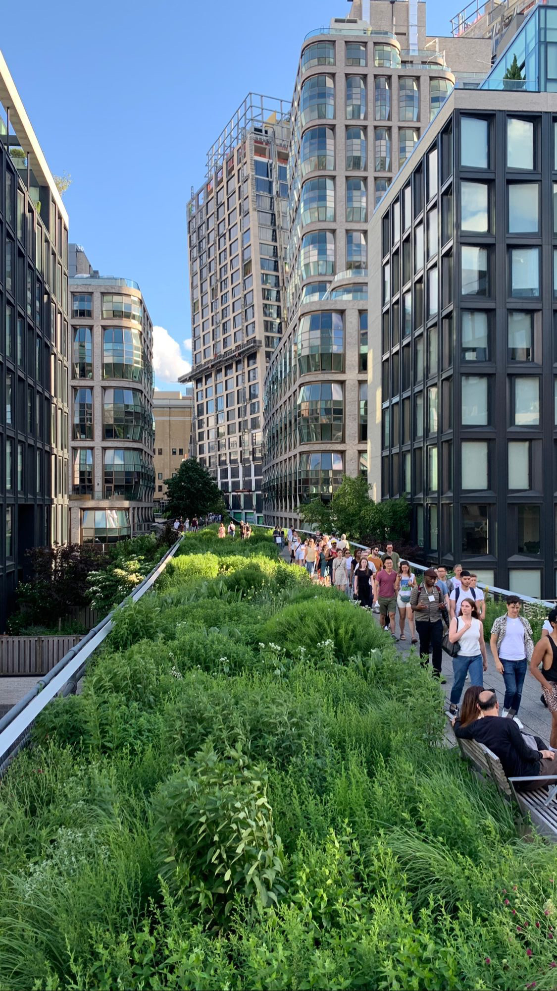 People walking along the Highline among greenery and skyscrapers during the summer season in New York City.